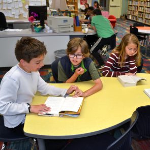 Reading in the library